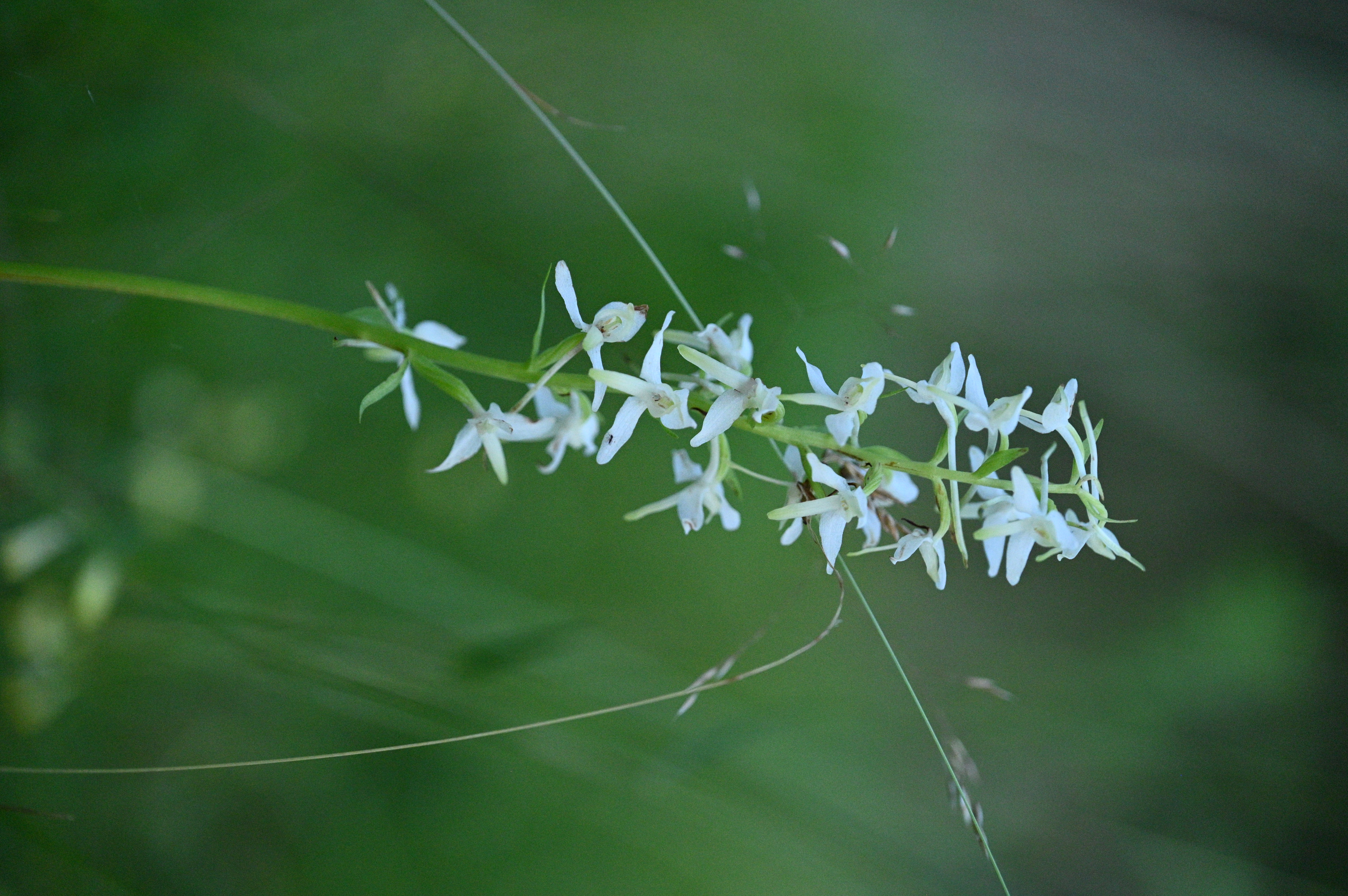 2025/07/09-14 - trip/DSC_0645.JPG